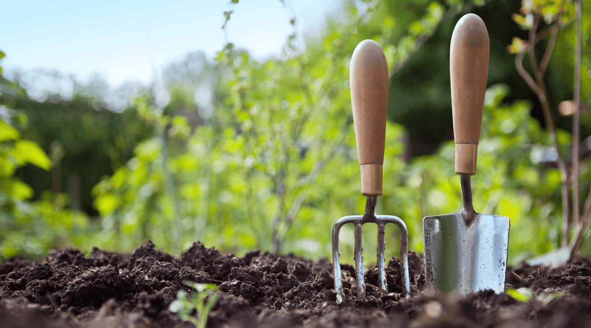 7 razones para probar suerte con la jardinería