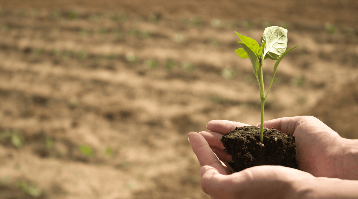 Are Non-GMO Foods Healthier? 6 Reasons We Absolutely Think So!