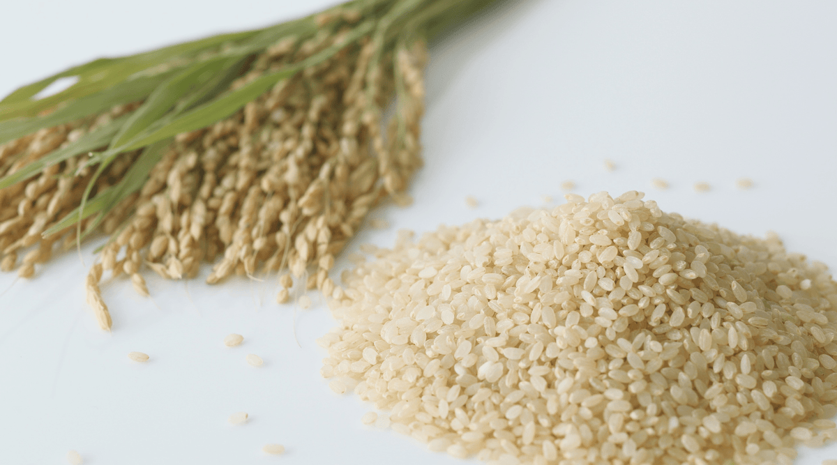 Buy Organic Rice For Your Family: Explore Our Various Options!