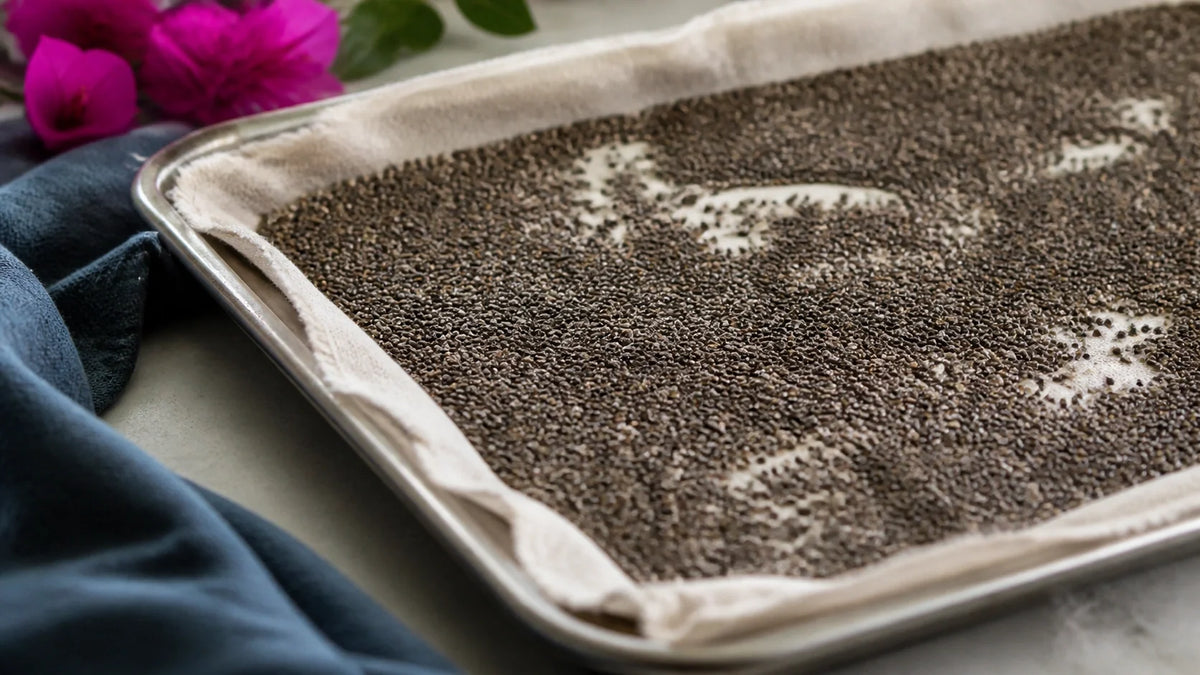Hemp Seeds vs Chia Seeds Nutrition: A Practical Guide