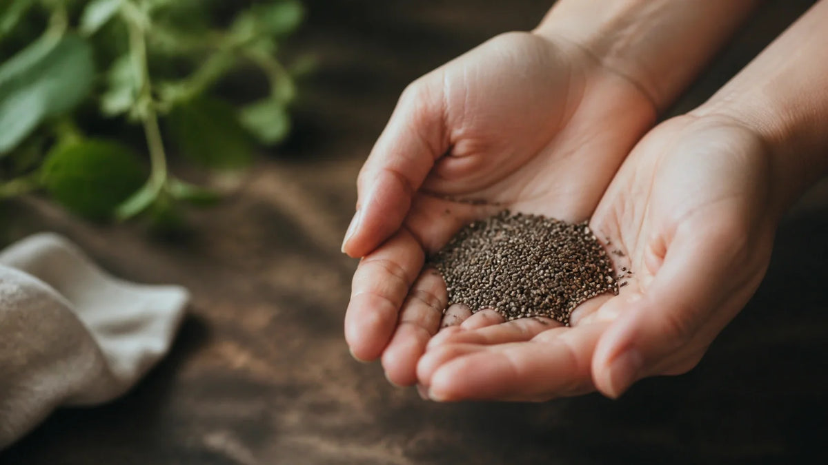 Understanding the Negative Health Effects of Chia Seeds