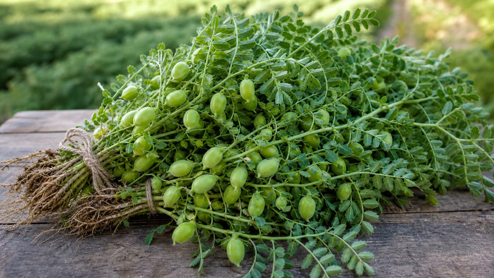 Desi Chickpeas Nutrition: The Small Bean with Big Benefits