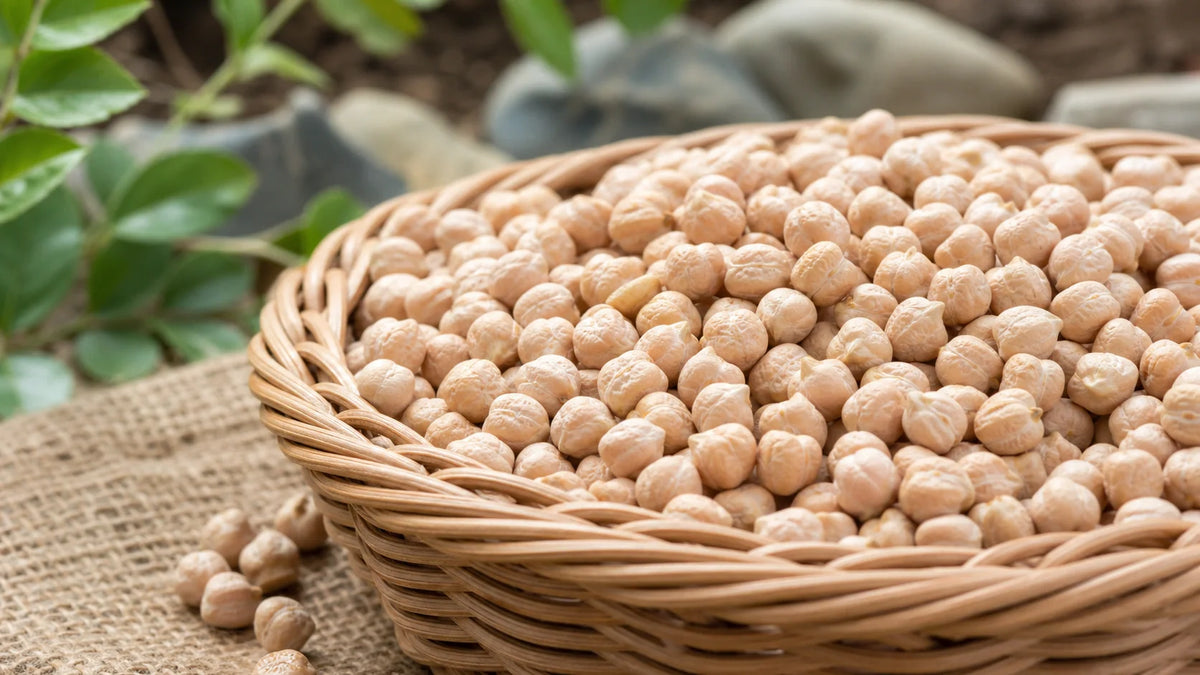Oven Roasted Chickpeas Nutrition: A Practical Pantry Guide