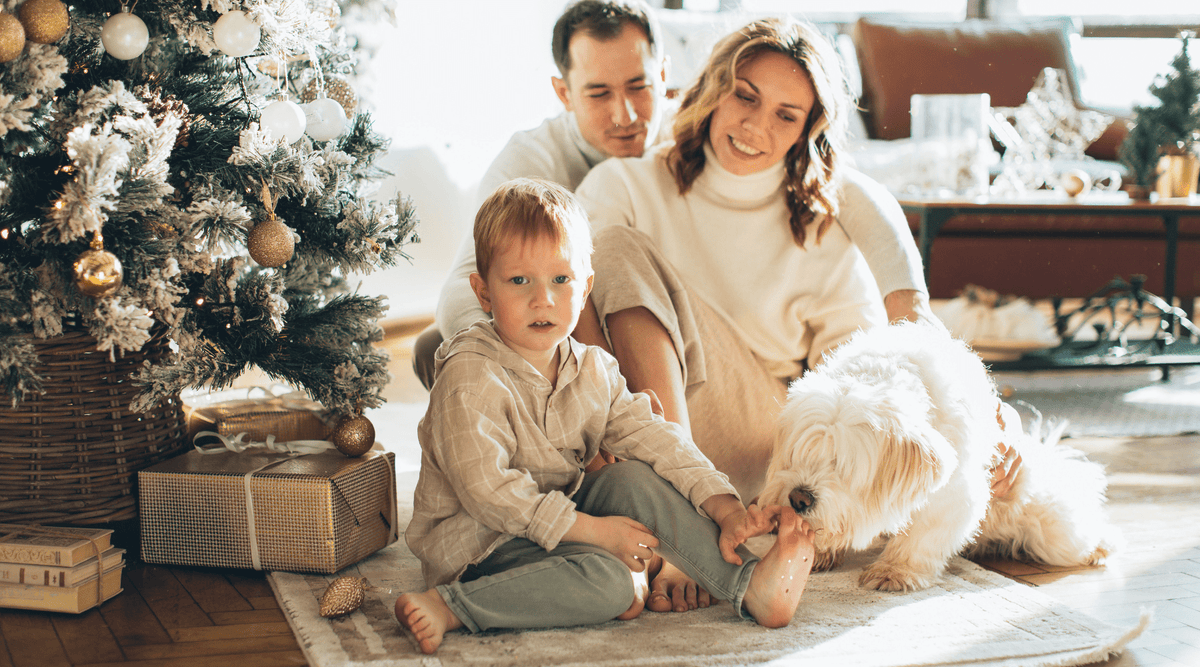 Embracing Joy, Rest, and Gratitude This Holiday Season