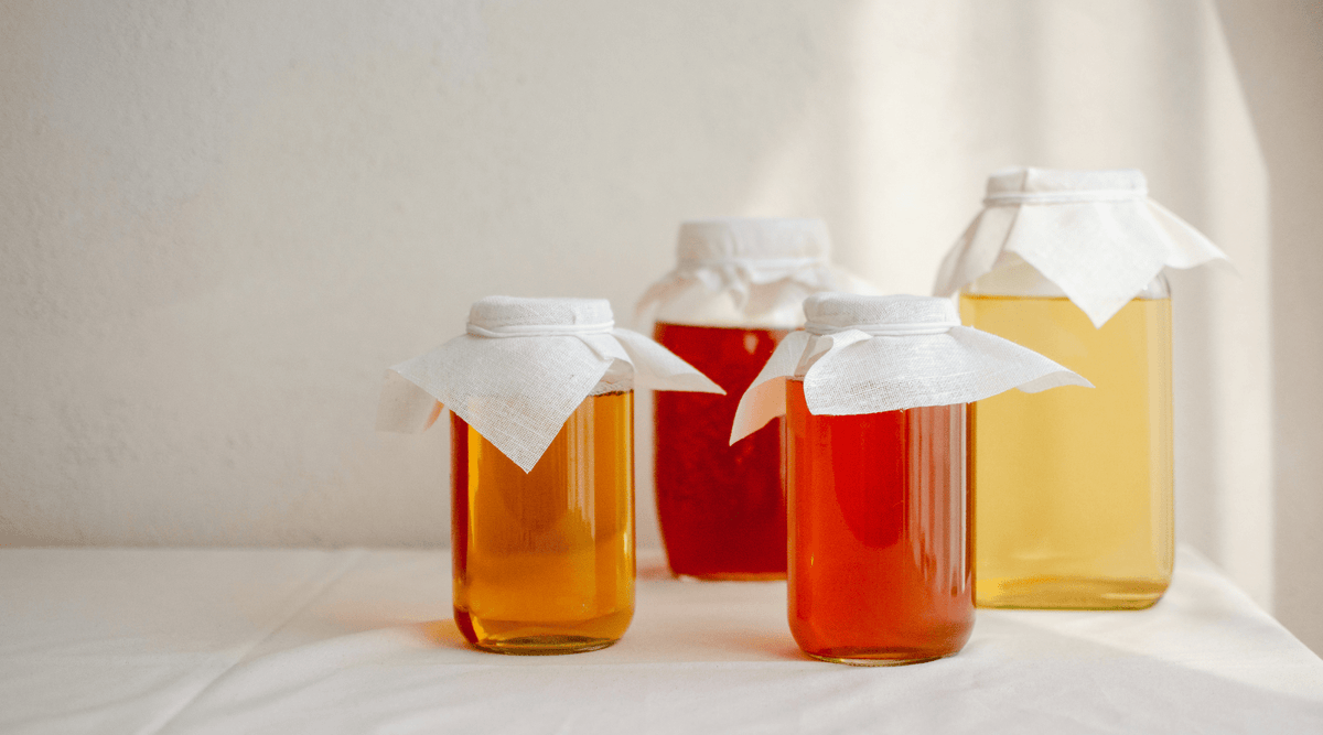 3 recetas saludables para el intestino: kombucha casera, kéfir vegano y chucrut
