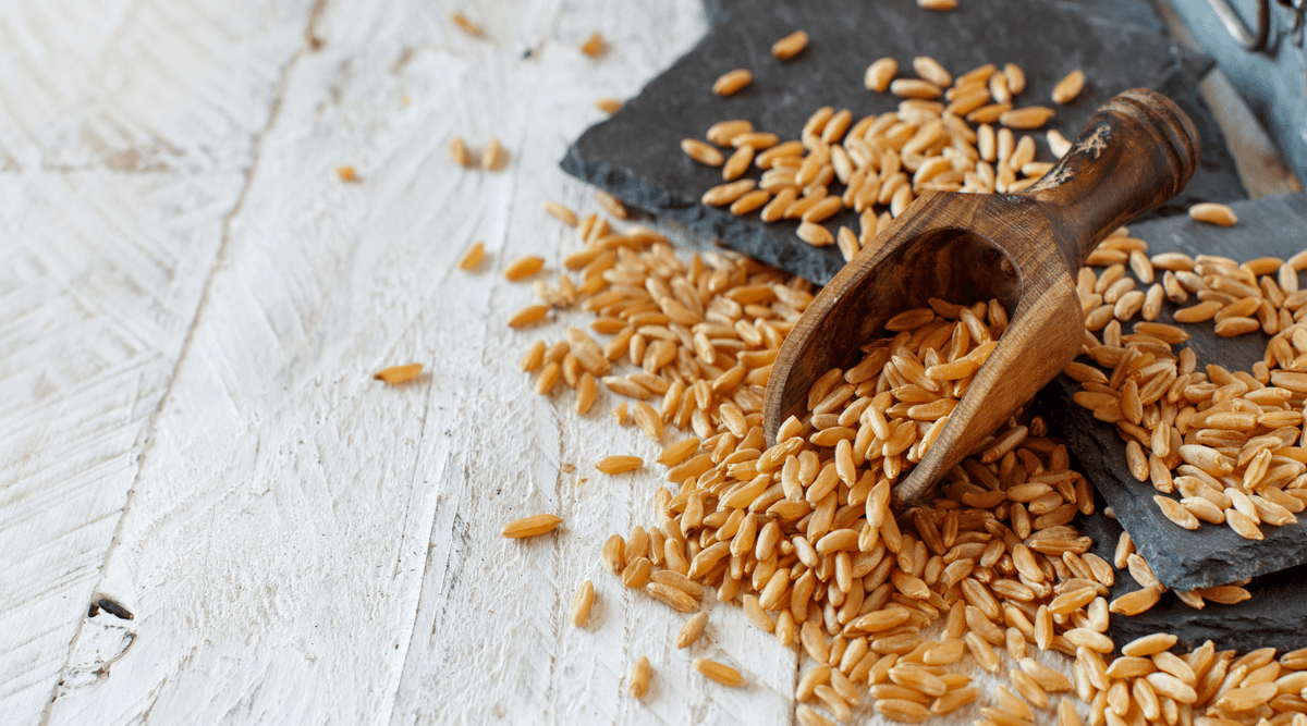 Kamut: Por qué necesitas este grano ancestral en tu plato
