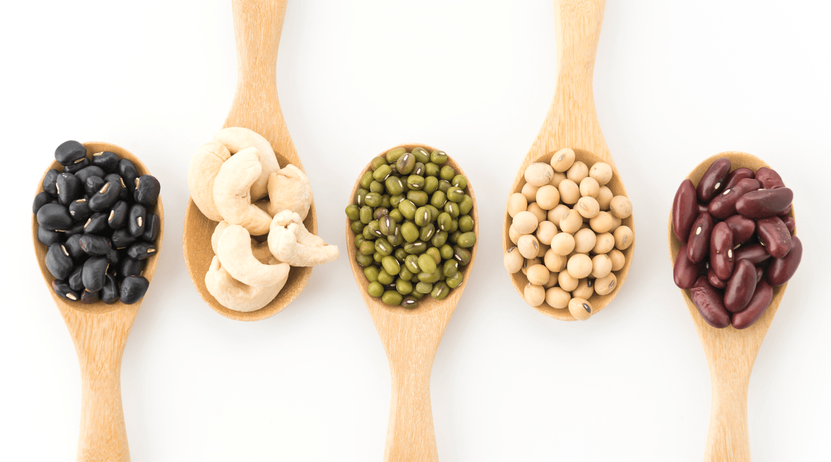 Las mejores fuentes de proteína vegana para obtener toda la proteína que necesitas