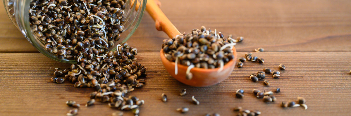 Country Life Natural Foods