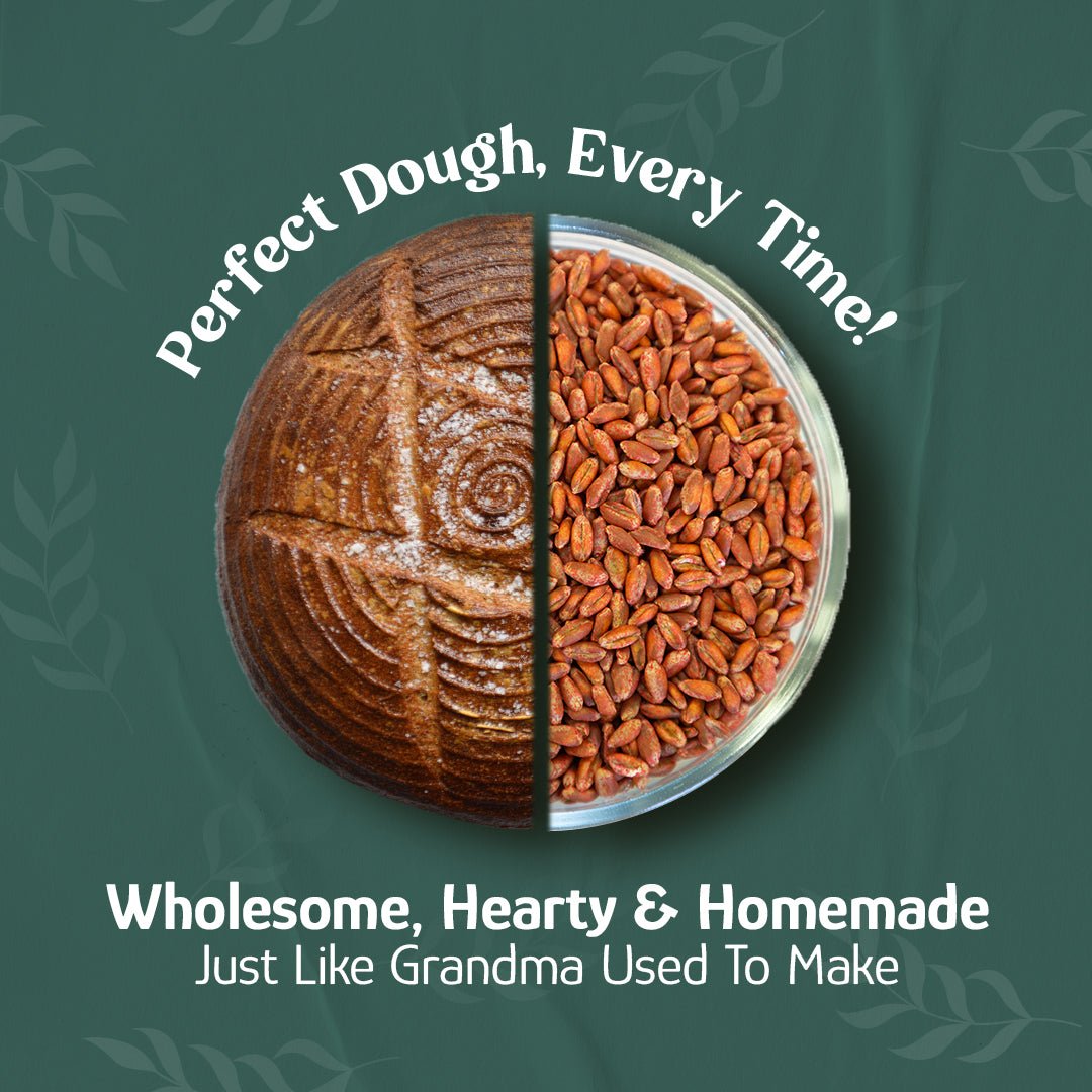 Wheat Berries, Bronze Chief (Red), Certified Glyphosate Free, Grains - Country Life Natural Foods