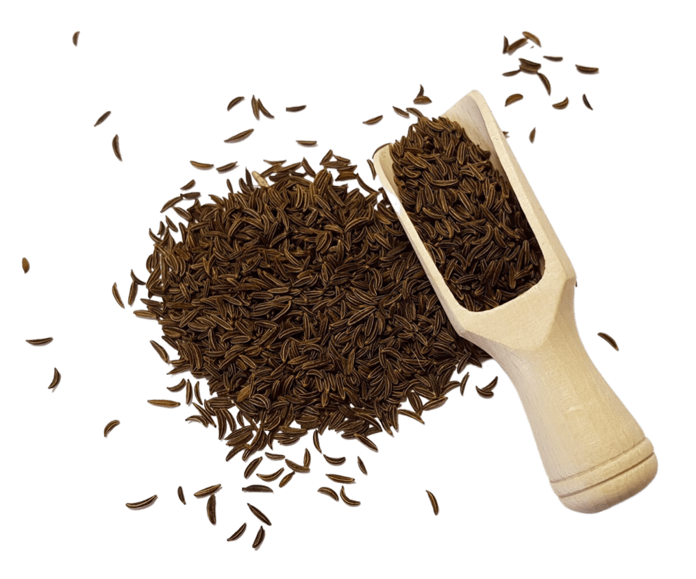 Caraway Seeds, Whole, Herbs Spices & Seasonings - Country Life Natural Foods