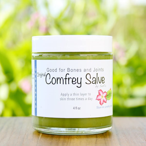 Herbal Comfrey Salve, Health & Beauty - Country Life Natural Foods