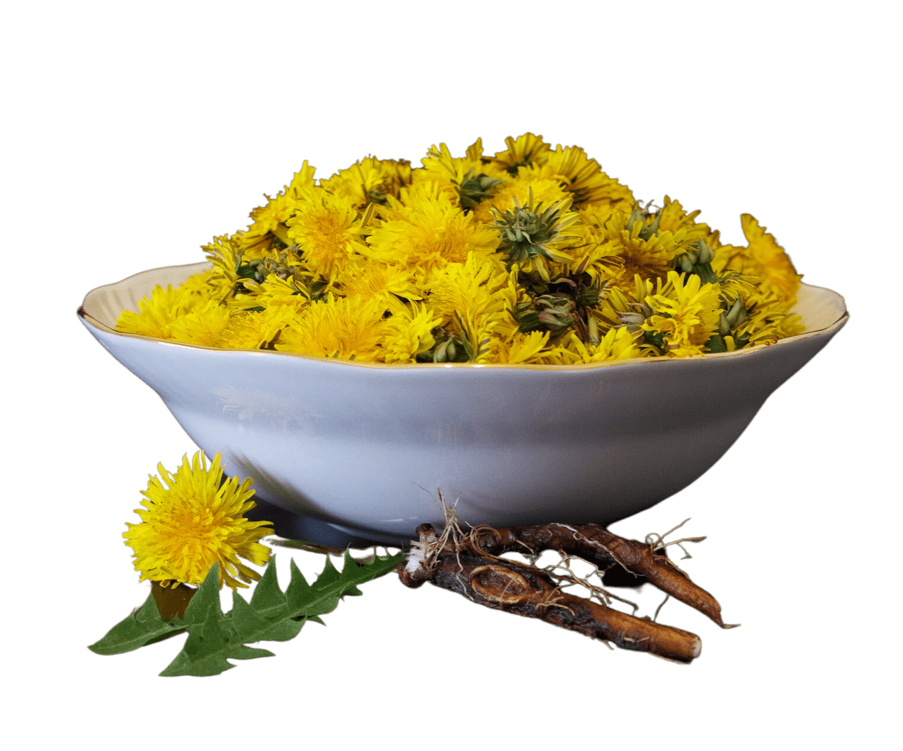 Dandelion Root, Organic, Cut, Sifted, Herbs - Country Life Natural Foods