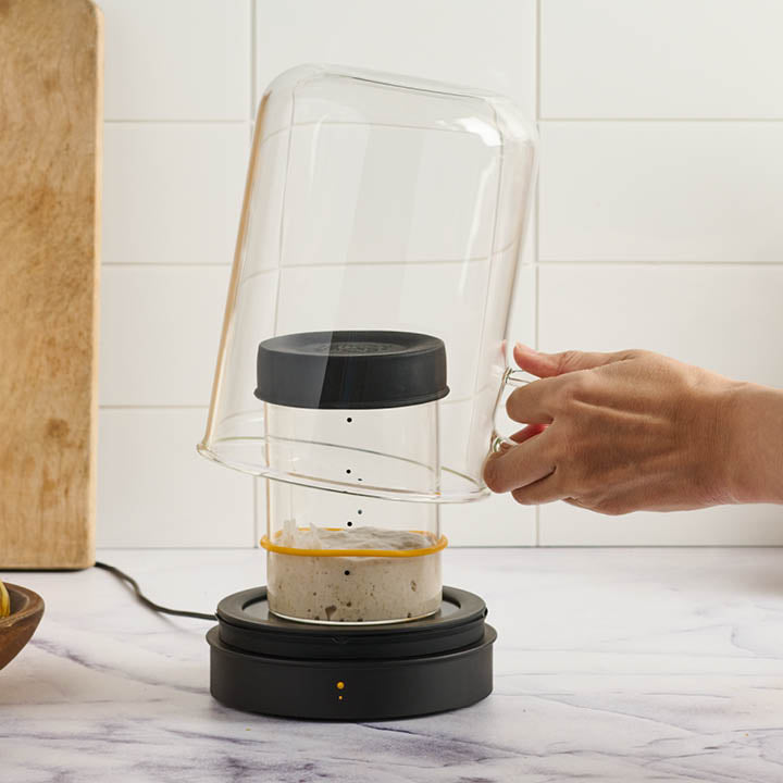 Goldie by Sourhouse + Cooling Puck, sourdough warmers - Country Life Natural Foods