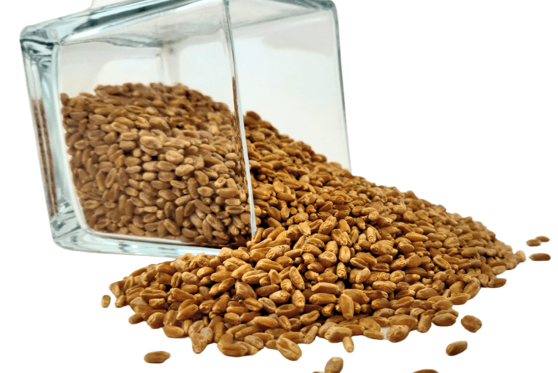 Wheat Berries, Hard Red, Winter Wheat, Wheat Montana, Grains - Country Life Natural Foods