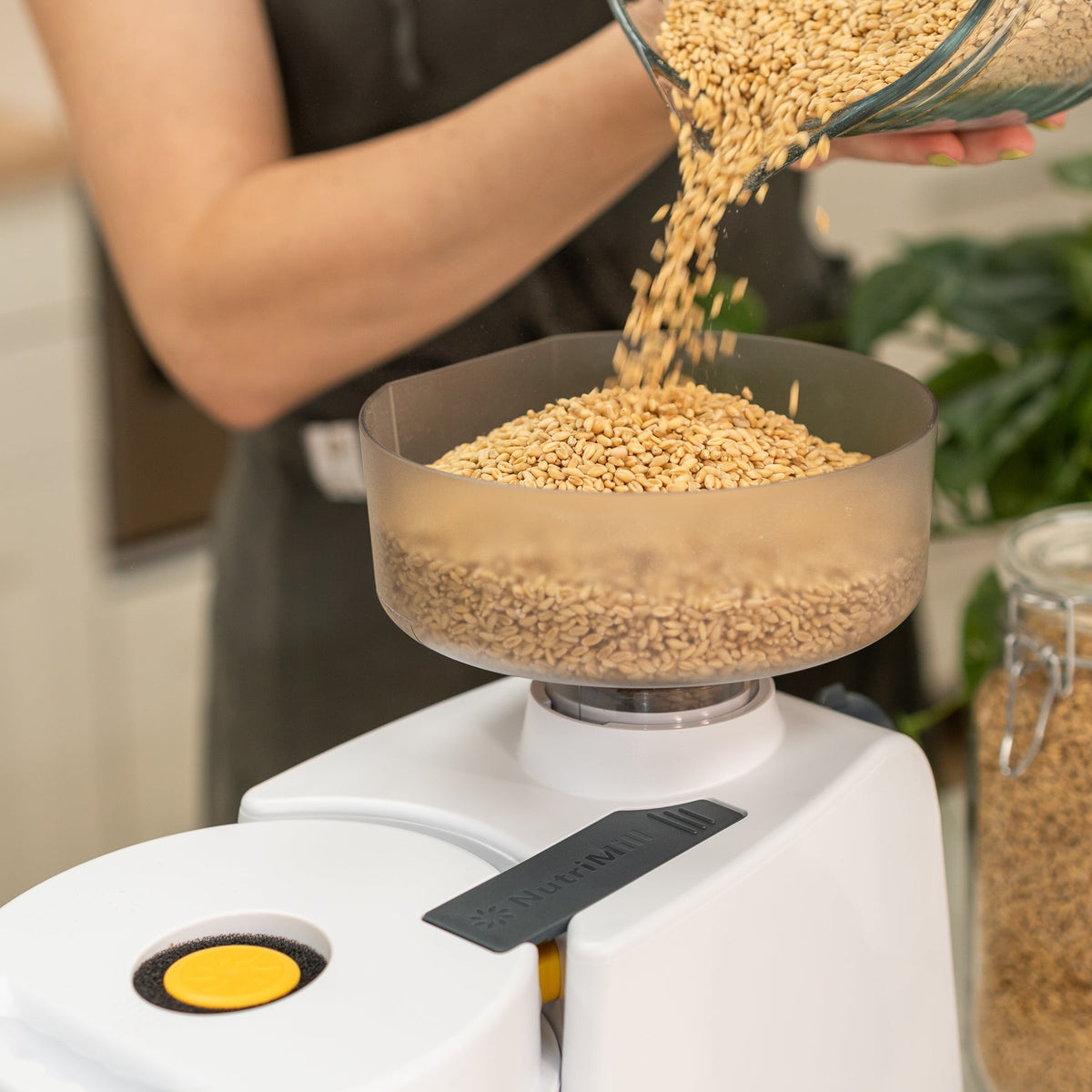 Impact Grain Mill, Grain Mill - Country Life Natural Foods