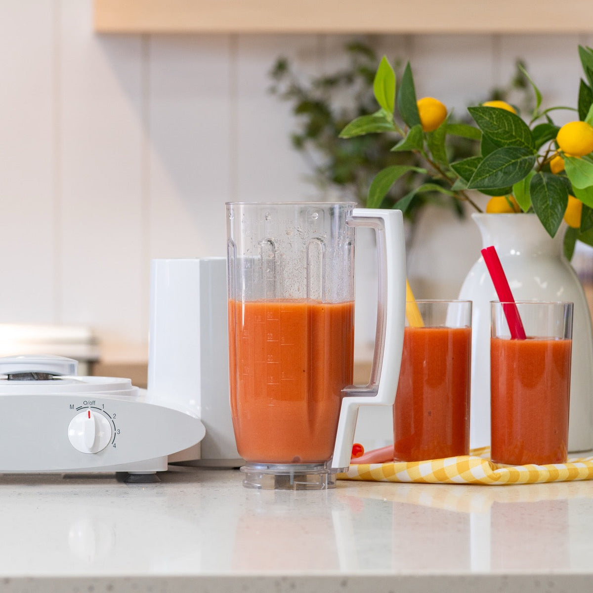 Universal Plus Blender Attachment, Kitchen Mixer Attachment - Country Life Natural Foods