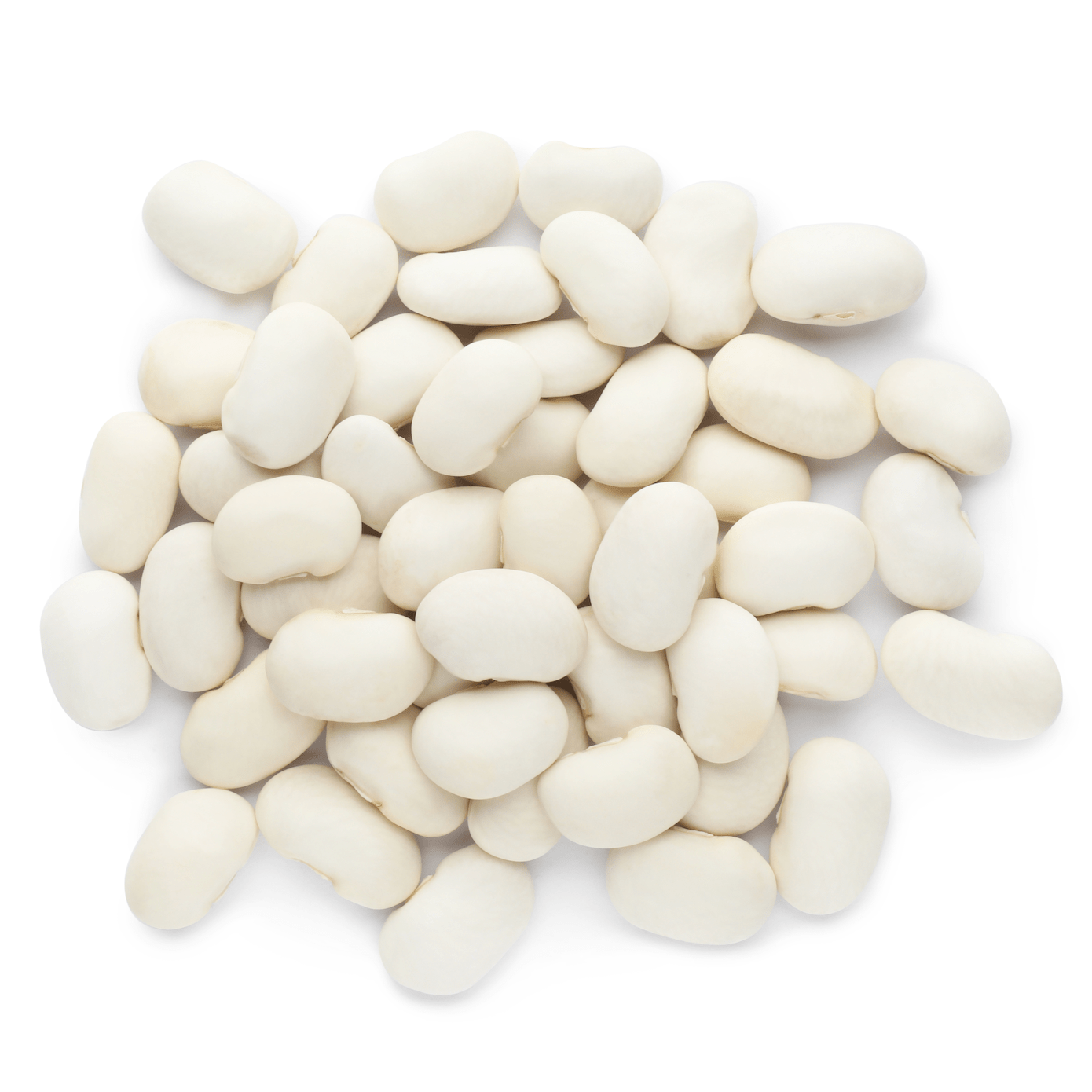 Navy Beans, Beans - Country Life Natural Foods