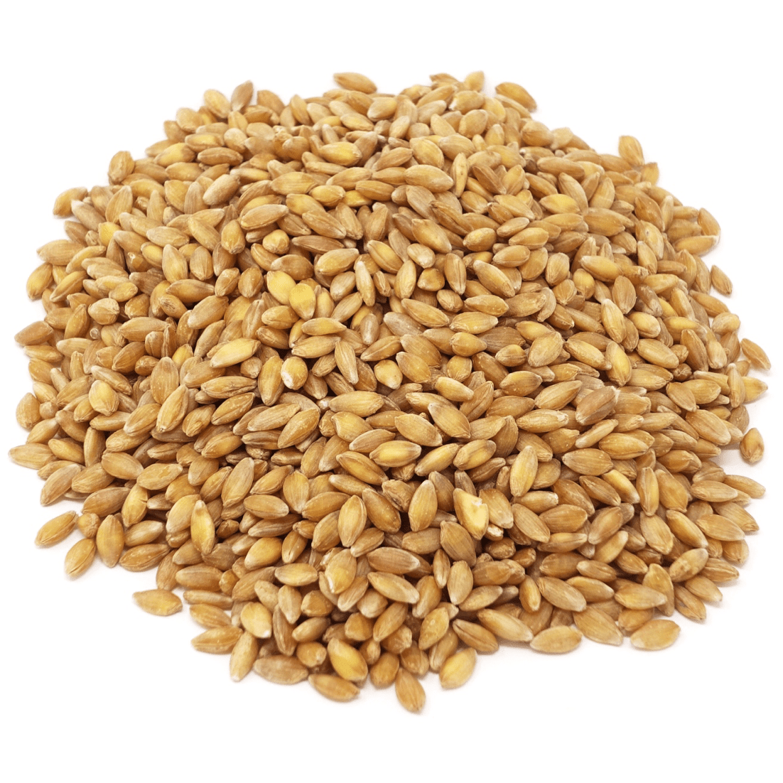 Einkorn Berries, Organic, Grains - Country Life Natural Foods