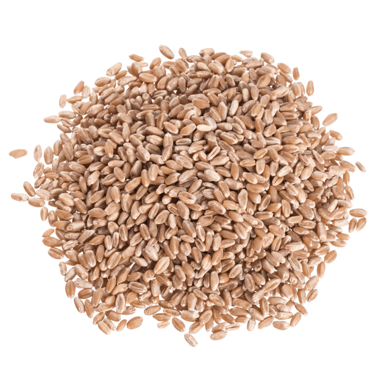 Wheat Berries, Hard Red, Organic, Grains - Country Life Natural Foods