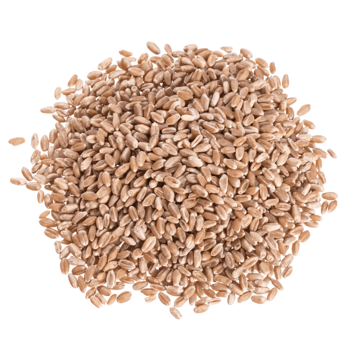 Wheat Berries, Hard Red, Organic, Grains - Country Life Natural Foods