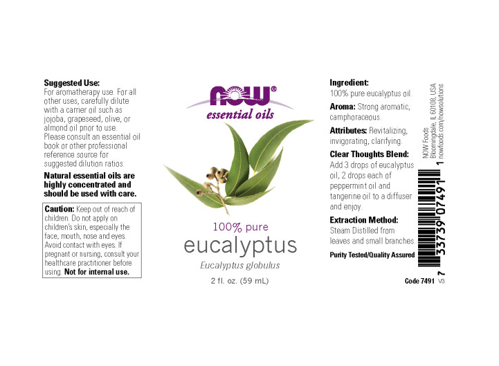 Eucalyptus Essential Oil, Essential Oils - Country Life Natural Foods