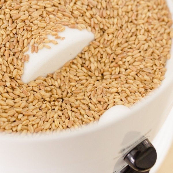 Classic Grain Mill, Grain Mill - Country Life Natural Foods
