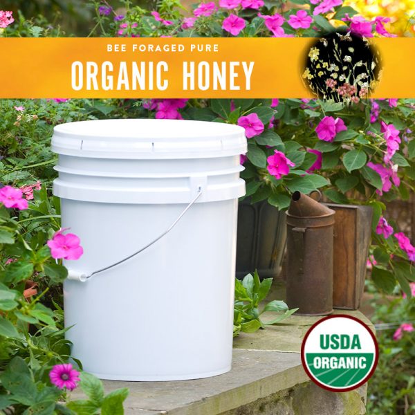 Honey, Organic, Honey - Country Life Natural Foods