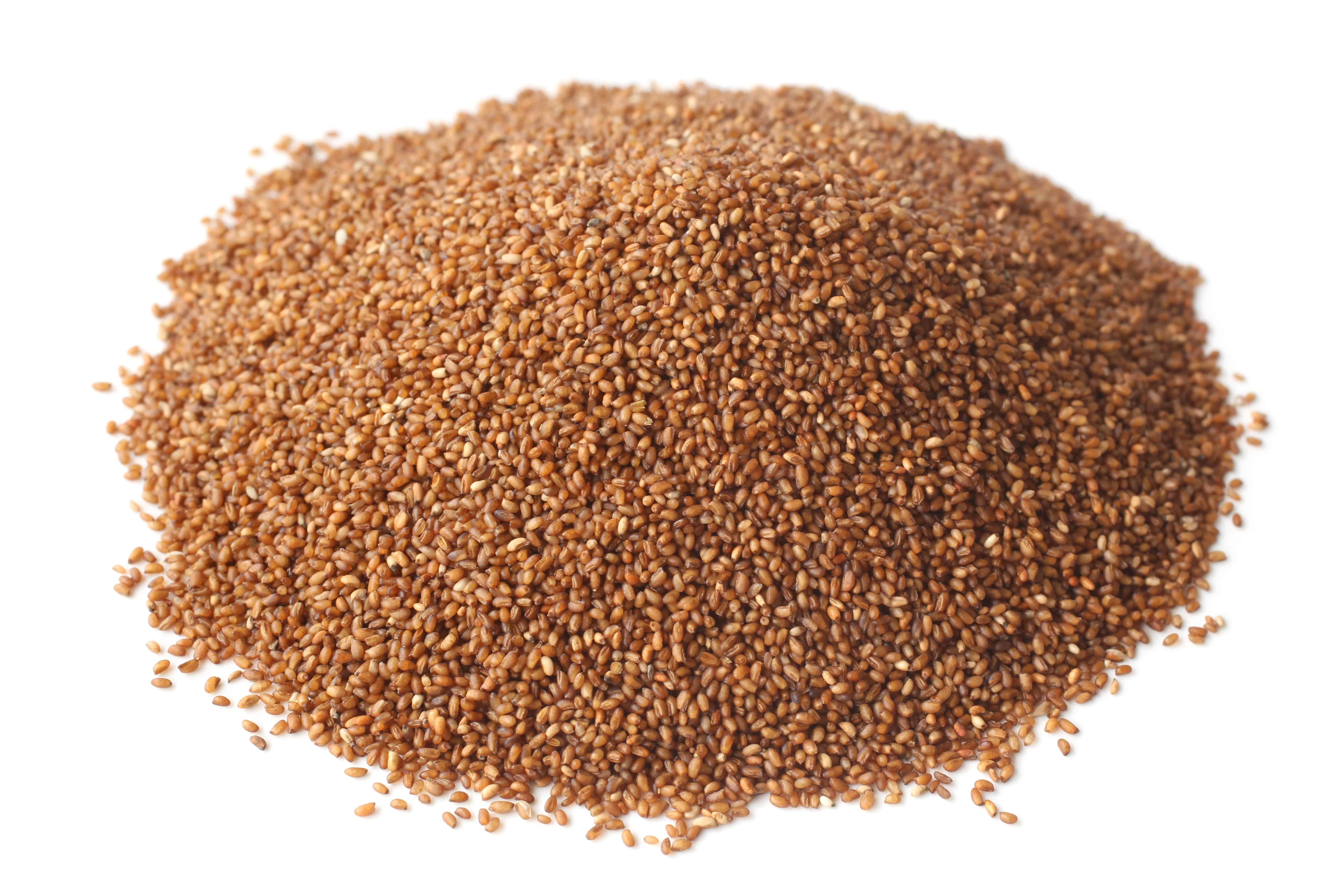 Teff Grain, Gluten-Free, Bob's Red Mill, Grains - Country Life Natural Foods