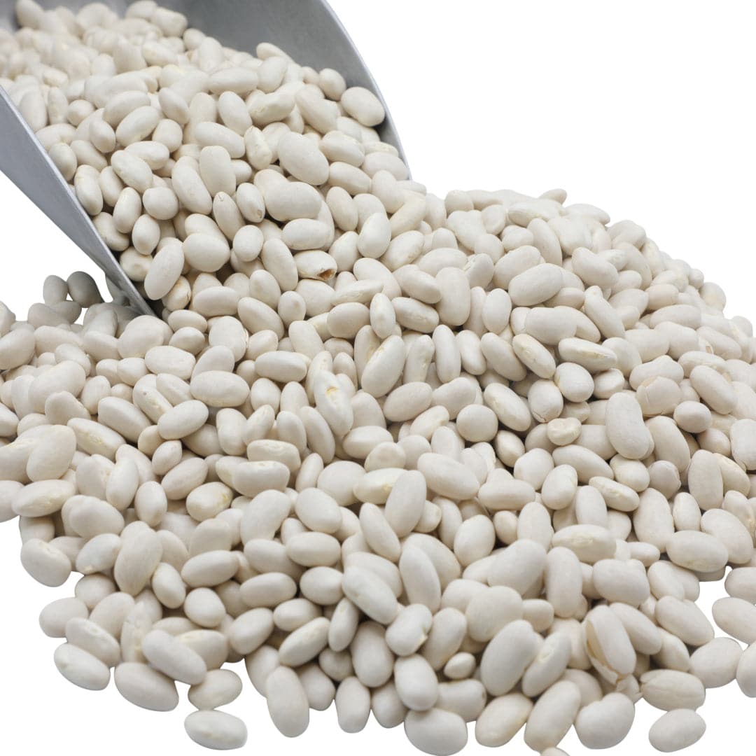 Great Northern Beans, Organic, Beans - Country Life Natural Foods
