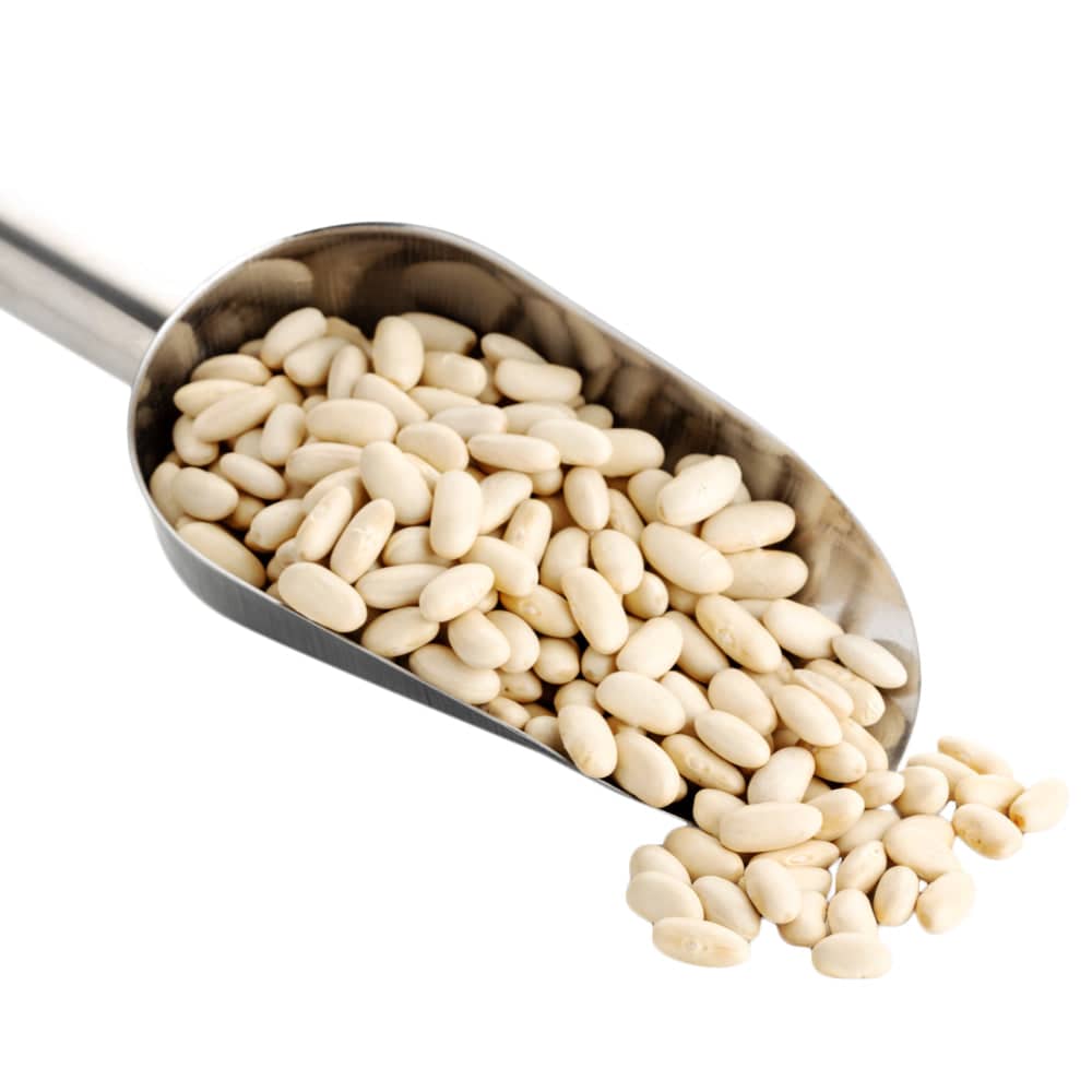 Navy Beans, Beans - Country Life Natural Foods