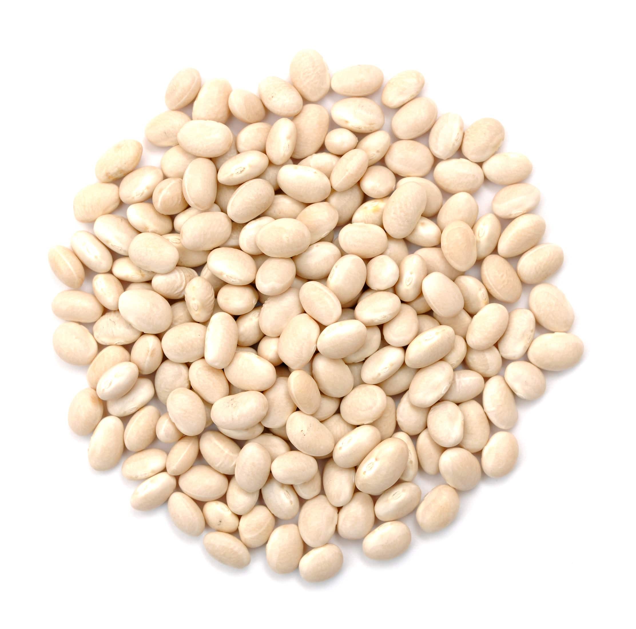 Navy Beans, Organic, Beans - Country Life Natural Foods