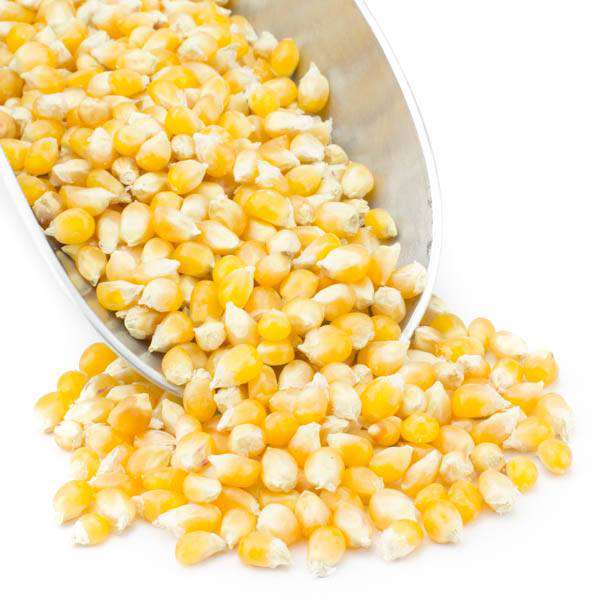 Popcorn, Yellow, Organic, Grains - Country Life Natural Foods