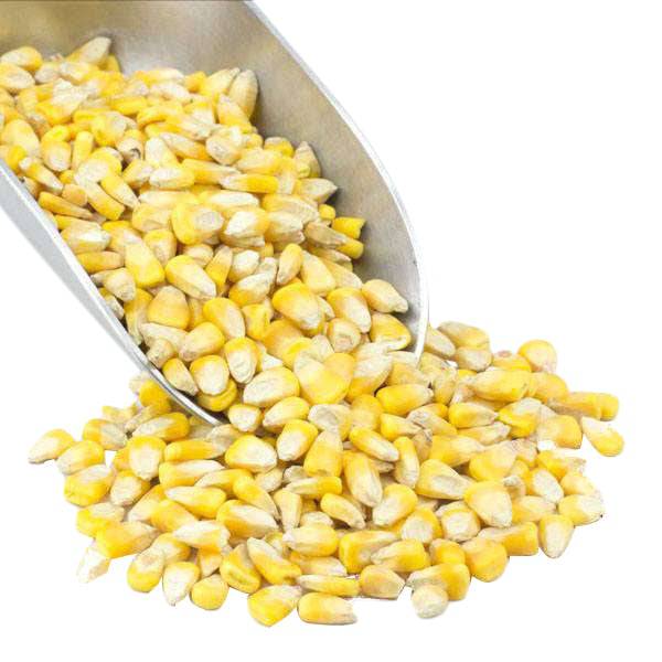 Corn, Whole Yellow, Organic, Grains - Country Life Natural Foods