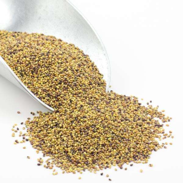 Clover Seeds, Red, Organic, Seeds - Country Life Natural Foods