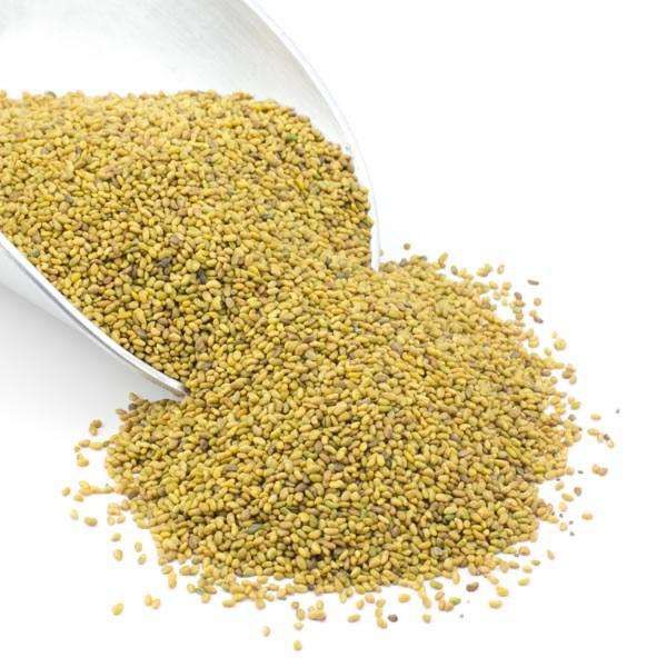 Alfalfa Seeds, Organic, Seeds - Country Life Natural Foods