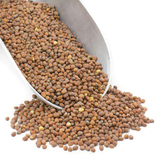 Radish Seeds, Organic, Seeds - Country Life Natural Foods